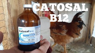 CATOSAL B12 PARA AS AVES [upl. by Akers]