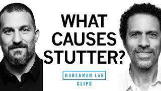 What Causes Stuttering amp Treatment for Stutter  Dr Erich Jarvis amp Dr Andrew Huberman [upl. by Eicnarf]