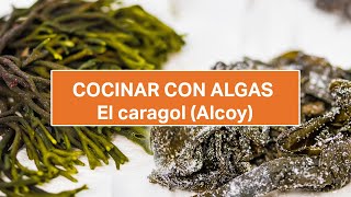 5 Tipos de Algas para cocinar  wakame  codium espirulina [upl. by Edda]