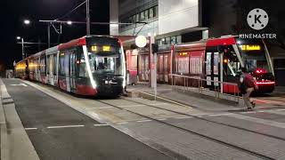 Sydney Light Rail at RandwickNSW Australia [upl. by Werbel]