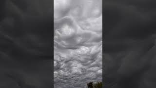 Asperatus Clouds shorts [upl. by Aneema]