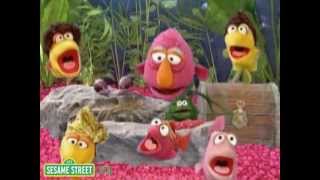 Sesame Street Tellys Aquarium [upl. by Dayiz]