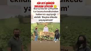 BURSADA BİR ÇİFTÇİ ABİMİZİN TARLASINI KENDİSİNDEN HABERSİZ BAŞKALARI EKTİBAŞKA ÜLKEDE YAŞAYAMAM [upl. by Edaw]