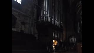 Davy Jones Theme  Vienna main cathedral organ [upl. by Rosina]