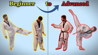 Taekwondo basics Beginner to Advanced Level [upl. by Nnylireg]