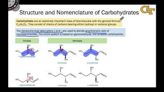 1602 Stereochemical Descriptors for Carbohydrates D and L [upl. by Esch]