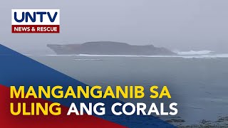 Nasirang barge lulan ang mahigit 11000 toneladang uling sa Masinloc hindi pa naalis  PCG [upl. by Coke]