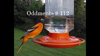 Oddments 112 [upl. by Gnanmas]