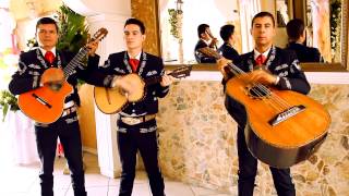 MARIACHI VOCES DE AMERICA MEDELLIN AUNQUE NO SEA MAYO [upl. by Hoang]