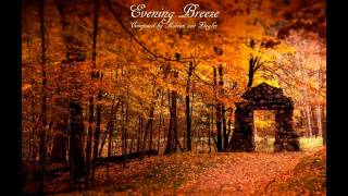 Relaxing Celtic Music  Evening Breeze [upl. by Caleb711]