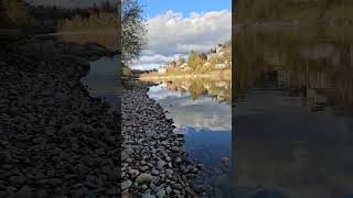 Aare river bern 🇨🇭🤩🍂🥰😍😇 nature bern bremgarten [upl. by Davin]