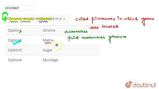 Chromonemata embedded in a –  CLASS 12  CELL THE UNIT OF LIFE  BIOLOGY  Doubtnut [upl. by Seiden]