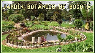 JARDÍN BOTÁNICO JOSÉ CELESTINO MUTIS BOGOTÁCOLOMBIA 🇨🇴🌲🌴🌱🌿☘️🌹🌸🌼🌻 [upl. by Agretha]