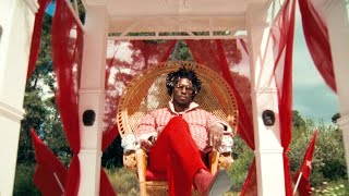 SAINt JHN  THE BEST PART OF LIFE OFFICIAL MUSIC VIDEO [upl. by Tootsie]