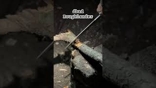 dbad Roughlander VS hemlock tree bowieknife bushcraft backcountry camping [upl. by Haldeman]