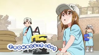 Sayangi Trombositmu ada loli dalam nadi  HATARAKU SAIBOU [upl. by Fechter28]