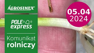 Zabieg T1 w zbożach komunikat POLE express  Agrosimex [upl. by Wilber]