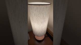 Bedroom Lighting Essentials Perfect Table Lamps for Your Space [upl. by Ekard]