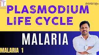 Plasmodium life cycle malayalam Malaria Symptoms Malayalam Malaria life cycle plasmodium Malayalam [upl. by Egni628]