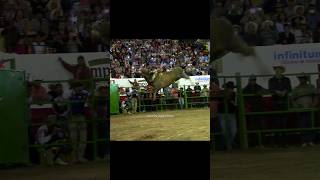 Reto GANSITO DE NAYARIT vs PATRÓN DE CORRALEJO Rancho la Candelaria en Autlán Jalisco Jaripeo [upl. by Okomom]