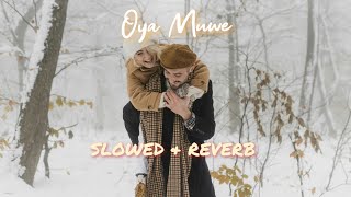 Oya Muwe ඔය මුවේ SLOWED  REVERB [upl. by Nomrah325]