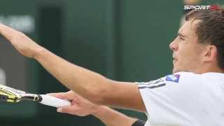 Wimbledon Janowicz VS Kubot Janowicz senior cieszę się z polskiego ćwierćfinału [upl. by Attenol]