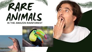 RARE ANIMALS IN THE AMAZON RAINFOREST [upl. by Adams]