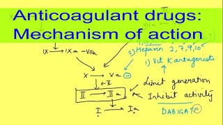 Anticoagulant drugs mechanism of action and therapy Oral anticoagulantsPhysiology  Pharmacology [upl. by Healy]