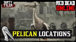 RDR2 Pelican Locations Red Dead Redemption 2 Online [upl. by Rosenkranz]