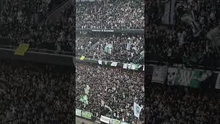 Hammarby [upl. by Niloc]