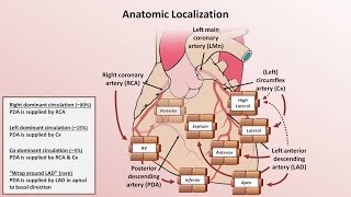 Intro to EKG Interpretation  Myocardial Infarctions Part 1 of 2 [upl. by Aihseym598]