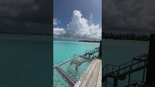 Experiencing the Best Feelings in Maldives [upl. by Zsolway]