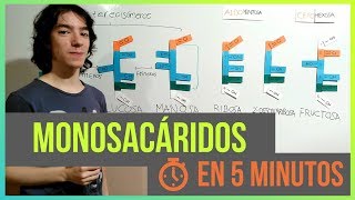 Monosacáridos en 5 minutos [upl. by Bolte]