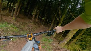 Ballyhoura Mtb Trails  Hammer [upl. by Ahsekan]