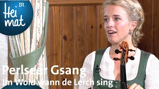 Perlseer Gsang Im Woid wann de Lerch singt  Musikantentreffen  BR Heimat  die beste Volksmusik [upl. by Klarika]