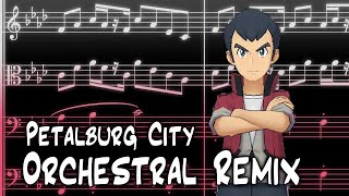 Petalburg City Orchestral Remix  Pokémon Ruby and Sapphire [upl. by Marteena]