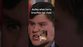 dudley calls his mama on harry for the slightest inconvenience 😭 harrypotter mama dursley funny [upl. by Hanschen]