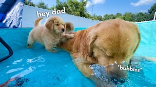 Tucker Shows Todd How to Swim [upl. by Henryk]