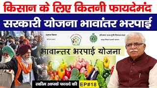 किसान के लिए कितनी फायदेमंद सरकारी योजना भावांतर भरपाई योजना  Haryana Bhavantar Bharpai Yojana [upl. by Anitsuga211]