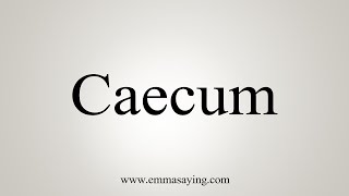 How To Say Caecum [upl. by Bluh]