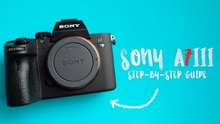 BEST Settings for the SONY A7III  A StepbyStep Guide [upl. by Ahsienod931]