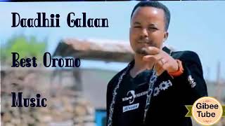 Daadhii Galaan Oromo Music Botti Jilba Jabaa Maaltu Jibba Best Music 2019 [upl. by Shamma]