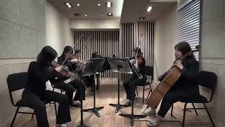 Dohnányi Piano Quintet No1 in c minor op1 1st [upl. by Ahseekat]