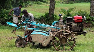 Village Land Cultivator  Power Tiller Machine  How to Use a Field Cultivator [upl. by Zedekiah]