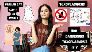 Toxoplasmosis What you need to know meaning causes symptoms preventions and more [upl. by Virge657]