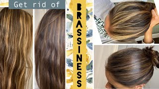 TONING your hair at home  STEP by STEP how to get rid of BRASSINESS in Highlights [upl. by Lombardi]