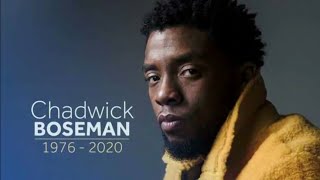 Chadwick Boseman Tribute amp FuneralFinal Tribute [upl. by Ahsi]