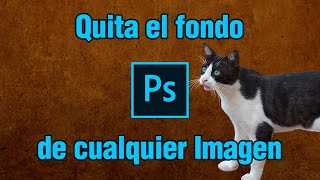 👉 Como poner fondo TRANSPARENTE😱 en PHOTOSHOP CC 2023 10 MANERAS🤩 FÁCIL [upl. by Lotti325]