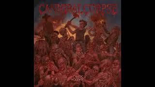 Cannibal Corpse  Blood Blind instrumental  karaoke track [upl. by Dranel138]