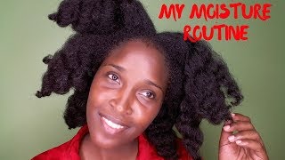 HOW I MOISTURIZE MY NATURAL HAIR  MUMNATURAL [upl. by Eppesuig]